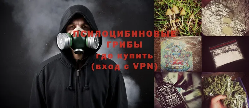 Галлюциногенные грибы Psilocybe  Володарск 